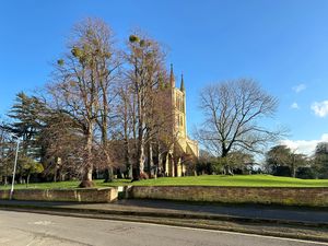 Views from lounge- click for photo gallery